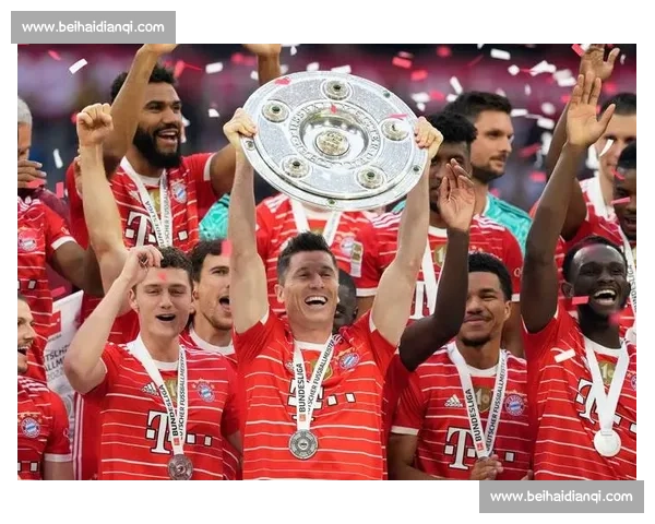 汉堡保级路漫漫，德甲赛场能否绝地反击