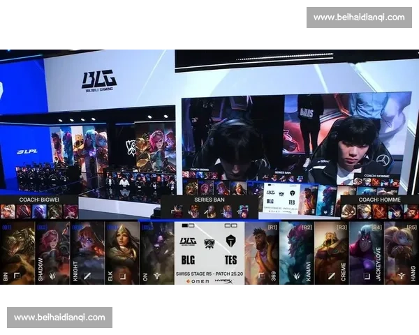 泪水与汗水铸就辉煌，XX战队圆梦LPL总决赛！