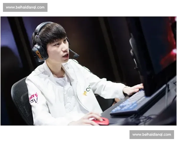 全民为之疯狂!中国电竞国家队用实力证明自己! 全民为之疯狂!中国电竞国家队用实力证明自己!