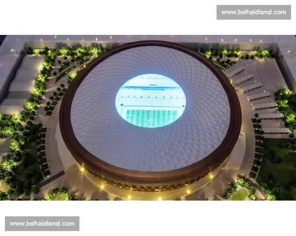 这座球场有点“意思”,世界杯主场馆卢赛尔的独特魅力